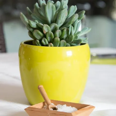 Logis Les Cols Verts Ξενοδοχείο