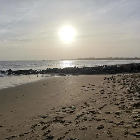 Logis Les Cols Verts La Tranche-sur-Mer