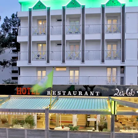 호텔 Les Cols Verts - Logis 3*