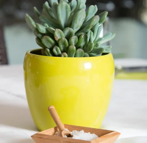 Logis Les Cols Verts 호텔