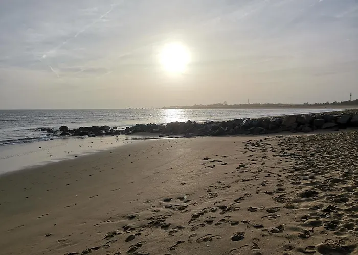 Logis Les Cols Verts La Tranche-sur-Mer